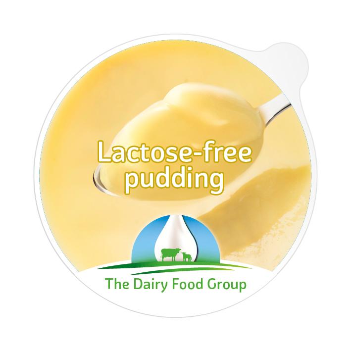 Lactose-free  Pudding / Custard