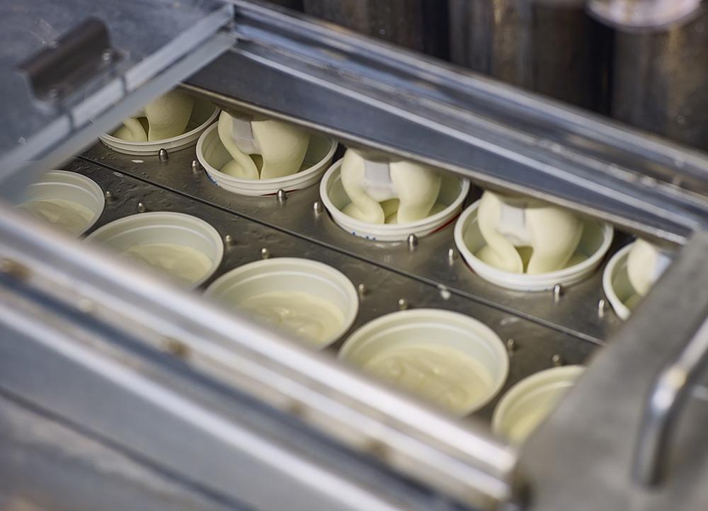 Fresh quark and yoghurt drinks Fresh quark and yoghurt drinks